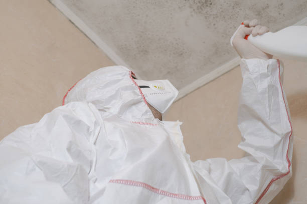 Best Crawl Space Mold Removal  in Blackville, SC